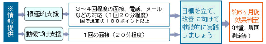 特定保健指導の内容