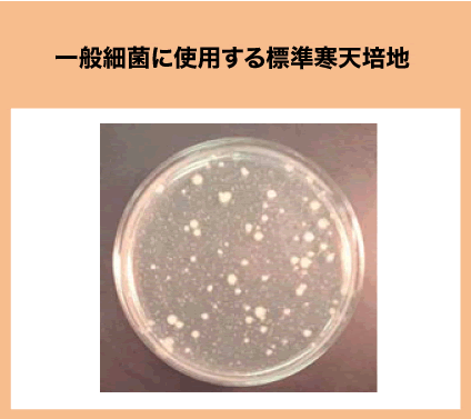 一般細菌に使用する標準寒天培地