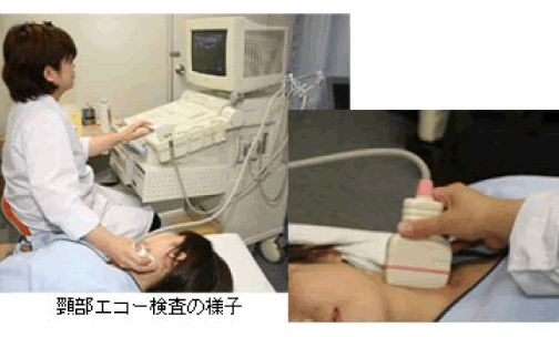 頸部エコー検査の様子